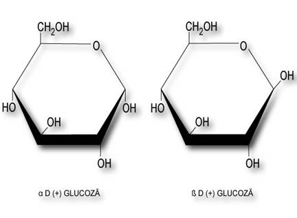 glucoza