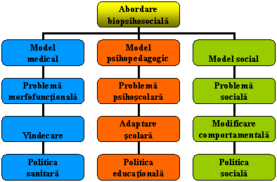 Organization Chart