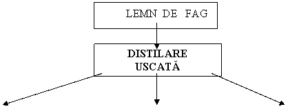 Text Box: LEMN DE FAG