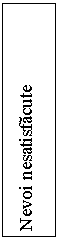 Flowchart: Process: Nevoi nesatisfacute