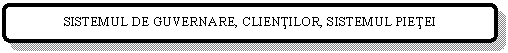 Rounded Rectangle: SISTEMUL DE GUVERNARE, CLIENTILOR, SISTEMUL PIETEI