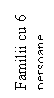 Text Box: Familii cu 6 persoane