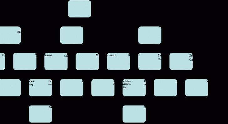 Organization Chart