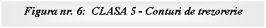 Text Box: Figura nr. 6: CLASA 5 - Conturi de trezorerie

