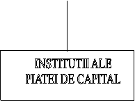 INSTITUTII ALE
PIATEI DE CAPITAL