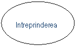 Oval: Intreprinderea
