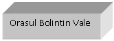 Text Box: Orasul Bolintin Vale

