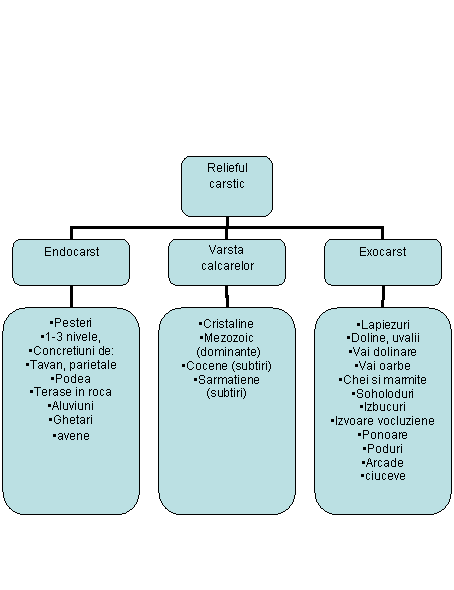 Organization Chart