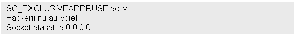 Text Box: SO_EXCLUSIVEADDRUSE activ
Hackerii nu au voie!
Socket atasat la 0.0.0.0

