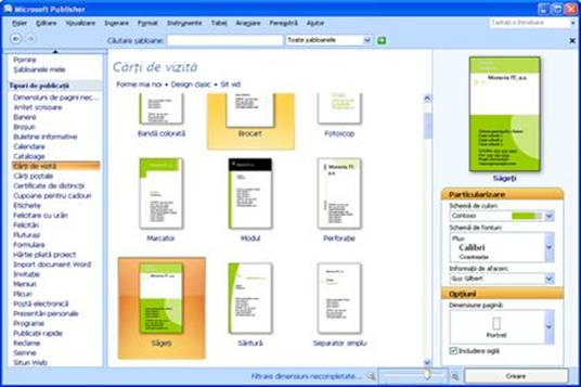 Examinare elemente marca Office Publisher 2007