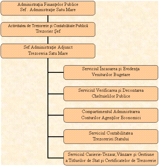 Organization Chart