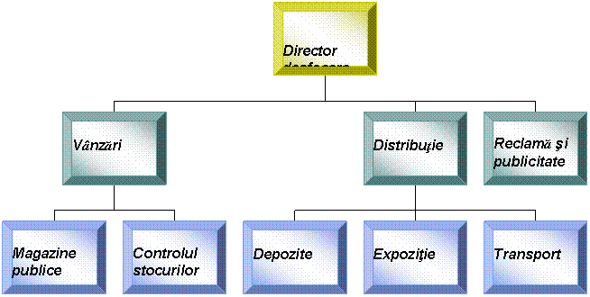 Organization Chart