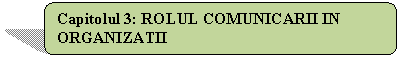 Rounded Rectangle: Capitolul 3: ROLUL COMUNICARII IN ORGANIZATII

