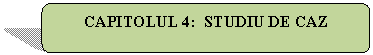 Rounded Rectangle: CAPITOLUL 4: STUDIU DE CAZ