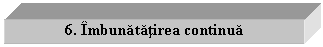 Text Box: 6. Imbunatatirea continua

