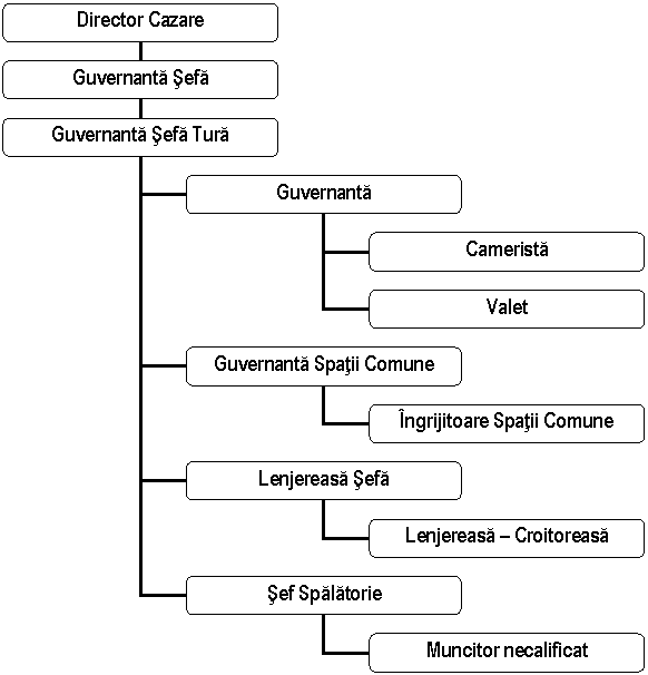 Organization Chart