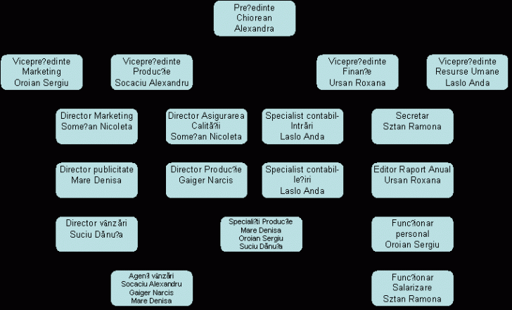 Organization Chart