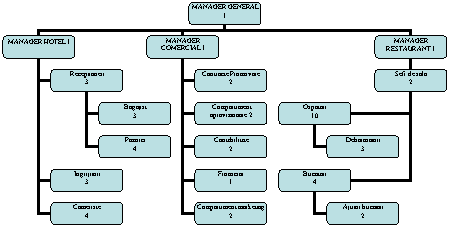 Organization Chart