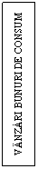 Text Box: VANZARI BUNURI DE CONSUM