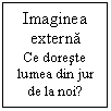 Text Box: Imaginea externa
Ce doreste lumea din jur de la noi?
