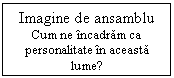 Text Box: Imagine de ansamblu
Cum ne incadram ca personalitate in aceasta lume?
