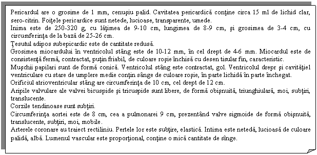 Folded Corner: Pericardul are o grosime de 1 mm, cenusiu palid. Cavitatea pericardica contine circa 15 ml de lichid clar, sero-citrin. Foitele pericardice sunt netede, lucioase, transparente, umede.
Inima este de 250-320 g, cu latimea de 9-10 cm, lungimea de 8-9 cm, si grosimea de 3-4 cm, cu circumferinta de la baza de 25-26 cm.
Tesutul adipos subepicardic este de cantitate redusa.
Grosimea miocardului in ventricolul stang este de 10-12 mm, in cel drept de 4-6 mm. Miocardul este de consistenta ferma, contractat, putin friabil, de culoare rosie inchisa cu desen tisular fin, caracteristic.
Muschii papilari sunt de forma conica. Ventricolul stang este contractat, gol. Ventricolul drepr si cavitatiel ventriculare cu stare de umplere medie contin sange de culoare rosie, in parte lichida in parte inchegat. 
Orificiul atrioventricular stang are circumferinta de 10 cm, cel drept de 12 cm.
Aripile valvulare ale valvei bicuspide si tricuspide sunt libere, de forma obisnuita, triunghiulara, moi, subtiri, translucente.
Corzile tendinoase sunt subtiri. 
Circumferinta aortei este de 8 cm, cea a pulmonarei 9 cm, prezentand valve sigmoide de forma obisnuita, translucente, subtiri, moi, mobile. 
Arterele coronare au traiect rectiliniu. Pertele lor este subtire, elastica. Intima este neteda, lucioasa de culoare palida, alba. Lumenul vascular este proportional, contine o mica cantitate de singe.
