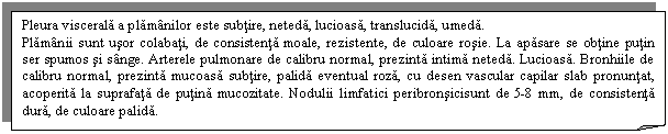 Folded Corner: Pleura viscerala a plamanilor este subtire, neteda, lucioasa, translucida, umeda.
Plamanii sunt usor colabati, de consistenta moale, rezistente, de culoare rosie. La apasare se obtine putin ser spumos si sange. Arterele pulmonare de calibru normal, prezinta intima neteda. Lucioasa. Bronhiile de calibru normal, prezinta mucoasa subtire, palida eventual roza, cu desen vascular capilar slab pronuntat, acoperita la suprafata de putina mucozitate. Nodulii limfatici peribronsicisunt de 5-8 mm, de consistenta dura, de culoare palida.
