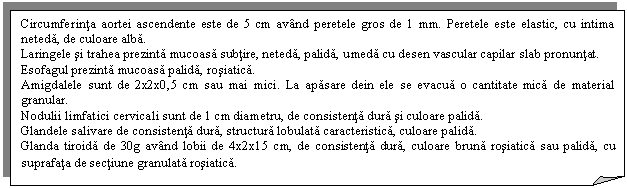 Folded Corner: Circumferinta aortei ascendente este de 5 cm avand peretele gros de 1 mm. Peretele este elastic, cu intima neteda, de culoare alba.
Laringele si trahea prezinta mucoasa subtire, neteda, palida, umeda cu desen vascular capilar slab pronuntat.
Esofagul prezinta mucoasa palida, rosiatica.
Amigdalele sunt de 2x2x0,5 cm sau mai mici. La apasare dein ele se evacua o cantitate mica de material granular.
Nodulii limfatici cervicali sunt de 1 cm diametru, de consistenta dura si culoare palida.
Glandele salivare de consistenta dura, structura lobulata caracteristica, culoare palida.
Glanda tiroida de 30g avand lobii de 4x2x15 cm, de consistenta dura, culoare bruna rosiatica sau palida, cu suprafata de sectiune granulata rosiatica.
