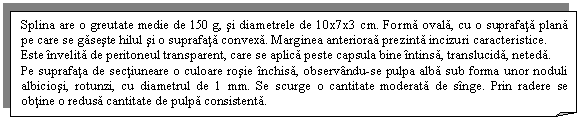 Folded Corner: Splina are o greutate medie de 150 g, si diametrele de 10x7x3 cm. Forma ovala, cu o suprafata plana pe care se gaseste hilul si o suprafata convexa. Marginea anterioraa prezinta incizuri caracteristice. 
Este invelita de peritoneul transparent, care se aplica peste capsula bine intinsa, translucida, neteda.
Pe suprafata de sectiuneare o culoare rosie inchisa, observandu-se pulpa alba sub forma unor noduli albiciosi, rotunzi, cu diametrul de 1 mm. Se scurge o cantitate moderata de singe. Prin radere se obtine o redusa cantitate de pulpa consistenta.
