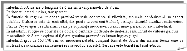 Folded Corner: Intestinul subtire are o lungime de 6 metrii si un perimetru de 7 cm.
Peritoneul neted, lucios, transparent.
In functie de regiune mucoasa prezinta valvule conivente si vilozitati, ultimele conferindu-i un aspect catifelat. Culoarea este de roza-alba, dar poate deveni mai inchisa, cenusie datorita autolizei cadaverice. Placile Peyer apar ca ridicaturi ovale pe suprafata mucoasei, cu axul mare paralel cu axul intestinal.
In intestinul subtire se constata de obicei o cantitate moderata de material semilichid de culoare galbuie.
Apendicele de 8 cm lungime si 0,6 cm grosime prezinta un lumen ingust si gol.
Intestinul gros de 150-170 cm, cu mucoasa neteda, continut format de obicei din materii fecale care se muleaza pe suprafata sa interioara si-i reproduc aspectul. Seroasa este bogata in tesut adipos.
