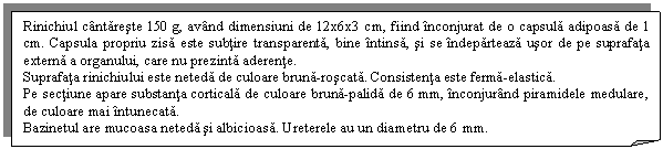 Folded Corner: Rinichiul cantareste 150 g, avand dimensiuni de 12x6x3 cm, fiind inconjurat de o capsula adipoasa de 1 cm. Capsula propriu zisa este subtire transparenta, bine intinsa, si se indeparteaza usor de pe suprafata externa a organului, care nu prezinta aderente.
Suprafata rinichiului este neteda de culoare bruna-roscata. Consistenta este ferma-elastica.
Pe sectiune apare substanta corticala de culoare bruna-palida de 6 mm, inconjurand piramidele medulare, de culoare mai intunecata.
Bazinetul are mucoasa neteda si albicioasa. Ureterele au un diametru de 6 mm.
