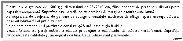 Folded Corner: Ficatul are o greutate de 1500 g si dimensiuni de 25x20x8 cm, fiind acoperit de peritoneul dispus peste capsula transparenta. Suprafata este neteda, de culoare bruna, marginea ascutita este bruna. 
Pe suprafata de sectiune, de pe care se scurge o cantitate modereta de sange, apare aceeasi culoare, desenul lobular fiind putin evident.
La palpare parenchimul prezinta o consistenta ferma, este putin friabila.
Vezica biliara are pereti subtiri si elastici si contine o bila fluida, de culoare verde-bruna. Suprafata mucoasei este catifelata si impregnata cu bila. Caile biliare sunt permeabile.
