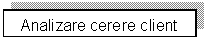 Text Box: Analizare cerere client int/ext 

