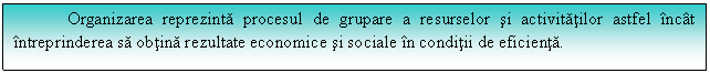 Text Box: Organizarea reprezinta procesul de grupare a resurselor si activitatilor astfel incat intreprinderea sa obtina rezultate economice si sociale in conditii de eficienta.