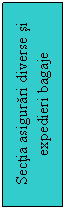 Text Box: Sectia asigurari diverse si expedieri bagaje